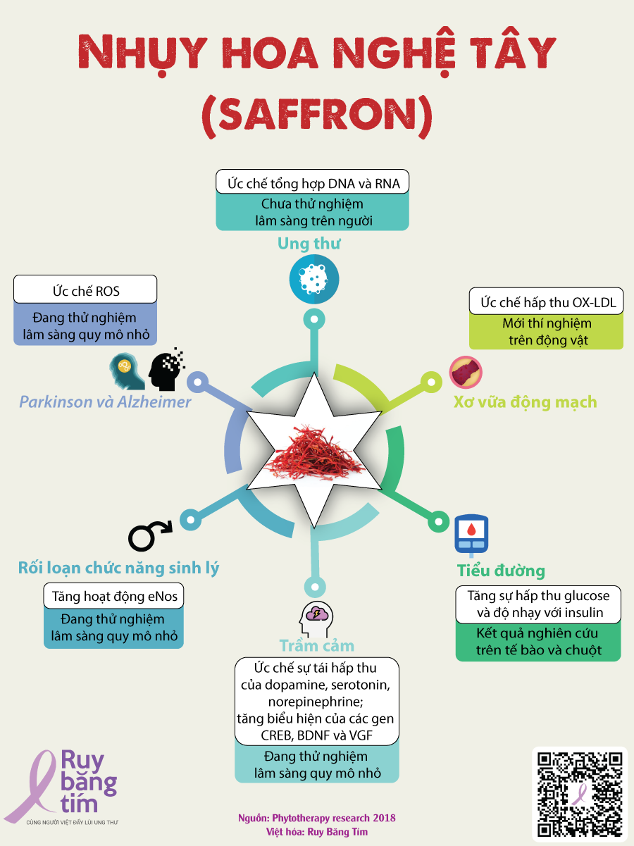 Hình 1: Nghiên cứu ứng dụng của saffron trong điều trị bệnh (1). Thiết kế: Trương Tài Nhân.