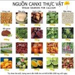 nguồn canxi thực vật