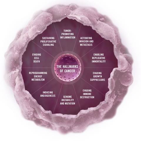 Cancer Hallmarks Kỳ 2. Di căn, trốn thoát hệ miễn dịch và biến đổi trao đổi chất – năng lượng
