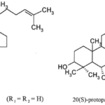 Structure-of-protopanaxadiol-and-protopanaxatriol