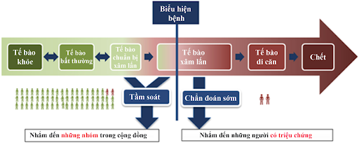 Các giai đoạn phát triển của ung thư từ tổn thương tiền ung thư đến di căn. Tầm soát ung thư là bước quan trọng giúp phát hiện sớm trước khi có triệu chứng, hỗ trợ điều trị ung thư hiệu quả.