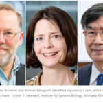 dieu hoa mien dich 2