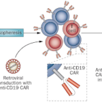 dieu tri ung thu mau 3